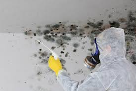 Best Forensic Mold Investigation  in Sandia Heights, NM